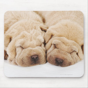 Tapis De Souris Sommeil de deux chiots de Shar Pei