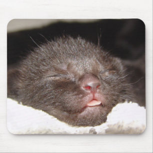 Tapis De Souris Sommeil Mousepad du Caire