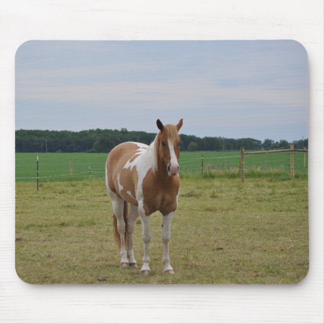 Tapis De Souris Sorrel Tobiano Paint Horse (Devant)