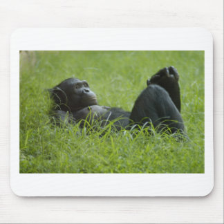 Tapis De Souris Soulagement du stress