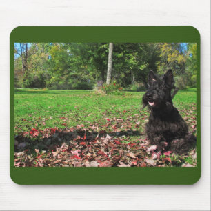 Tapis De Souris Souriant dans les feuilles