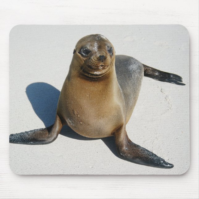 Tapis De Souris Sourire (Devant)