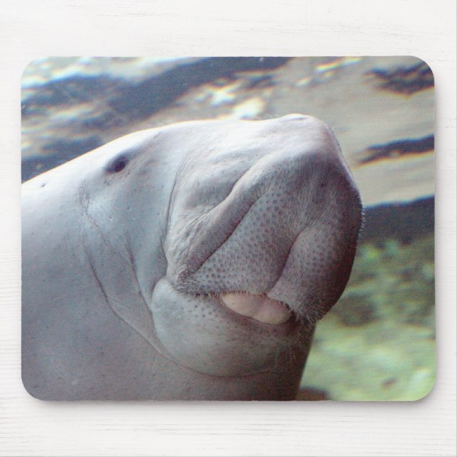 Tapis De Souris Sourire de Dugong (Devant)