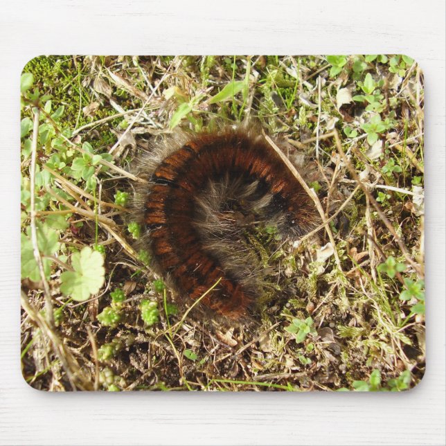 Tapis De Souris Souris à chenille Fox Moth (Devant)