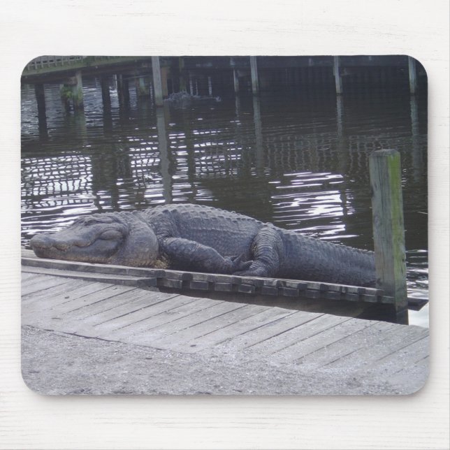 Tapis De Souris Souris Alligator (Devant)