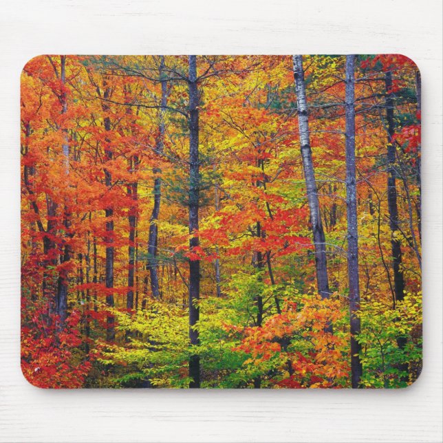 Tapis De Souris Souris Bois d'automne (Devant)