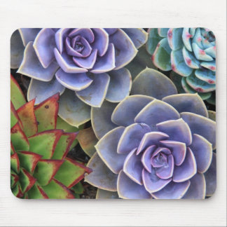 Tapis De Souris Souris Bouquet Succulente