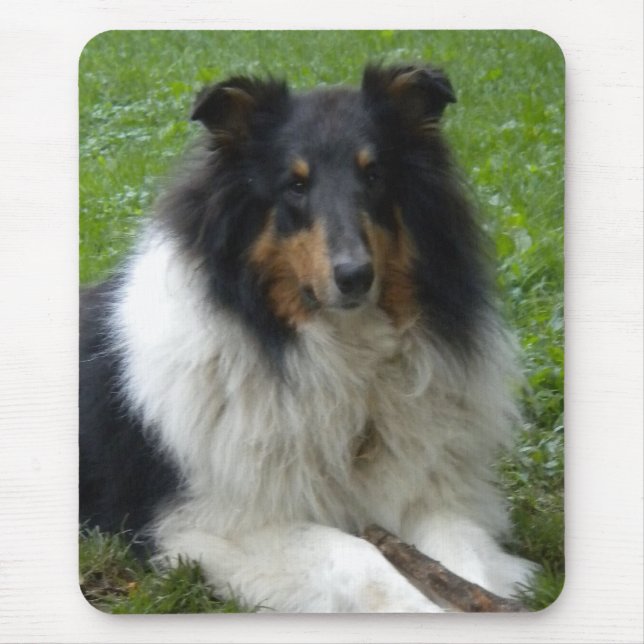Tapis De Souris Souris Collie arrondie (Devant)