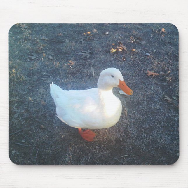 Tapis De Souris Souris de canard (Devant)