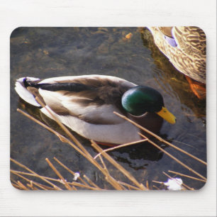 Tapis De Souris Souris de canard à bois