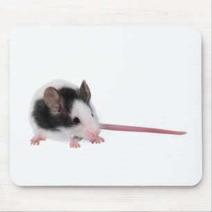 Tapis De Souris Souris de Chambre