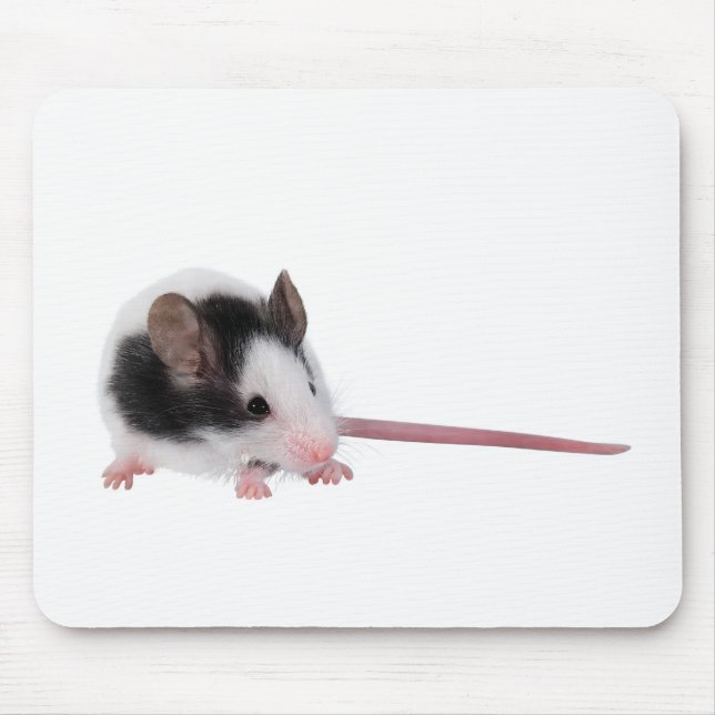 Tapis De Souris Souris de Chambre (Devant)