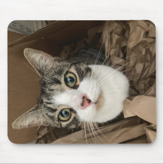 Tapis De Souris Souris de chat