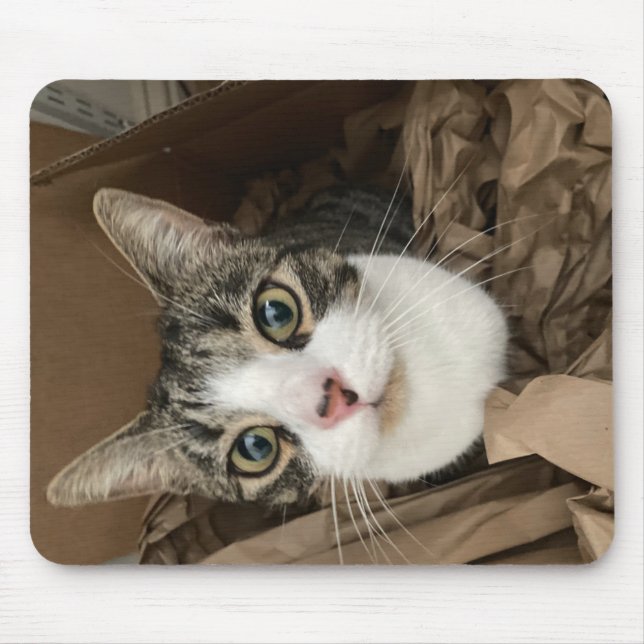 Tapis De Souris Souris de chat (Devant)
