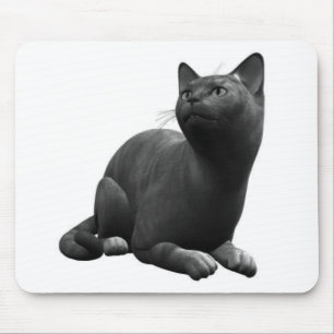 Tapis De Souris Souris de chat noir paisible