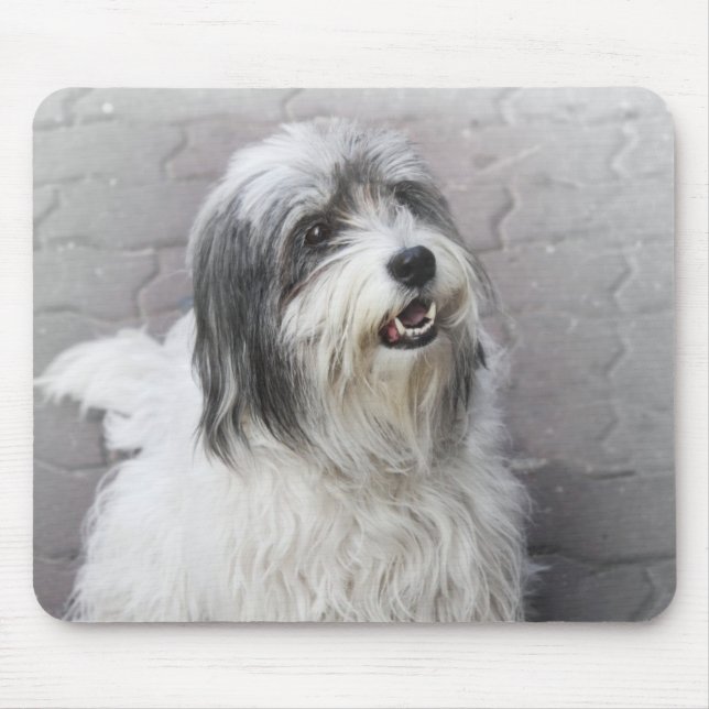 Tapis De Souris Souris de chien (Devant)