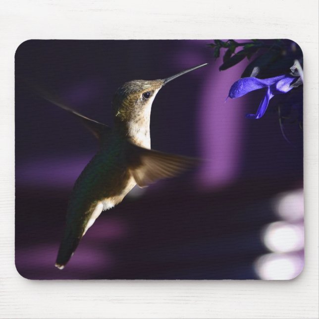 Tapis De Souris Souris de colibri (Devant)