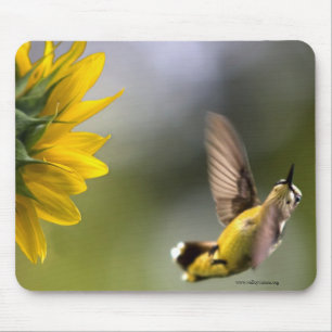 Tapis De Souris Souris de colibri