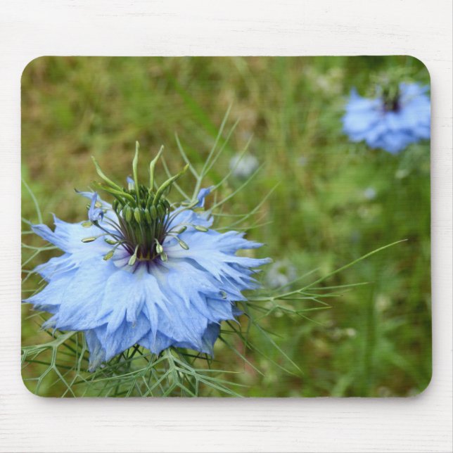 Tapis De Souris Souris de Cornflower (Devant)