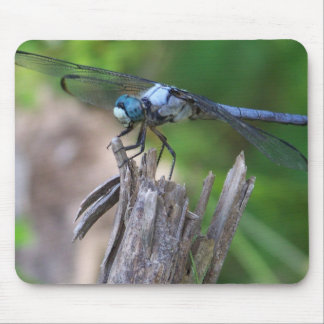 Tapis De Souris Souris de mouche