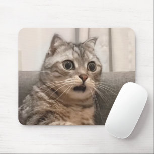 Tapis De Souris Souris de souris de chat choqué