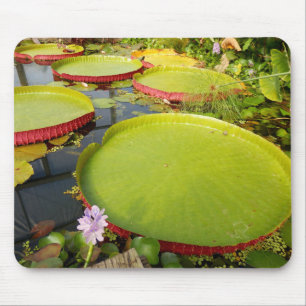Tapis De Souris Souris de souris Lily Pads