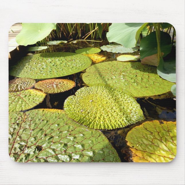 Tapis De Souris Souris de souris Lily Pads (Devant)