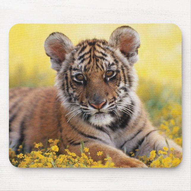 Tapis De Souris Souris de tigre cub (Devant)