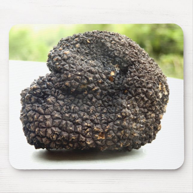 Tapis De Souris Souris de truffe du Périgord (Devant)