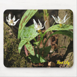 Tapis De Souris Souris de truite