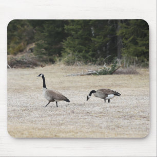 Tapis De Souris Souris d'oies canadiennes