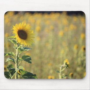 Tapis De Souris Souris du Jour des tournesols