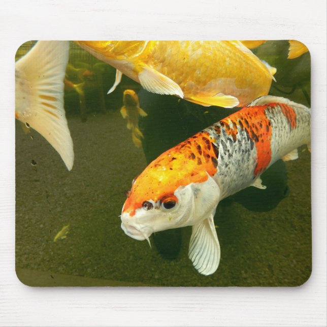 Tapis De Souris Souris Koi Carp (Devant)
