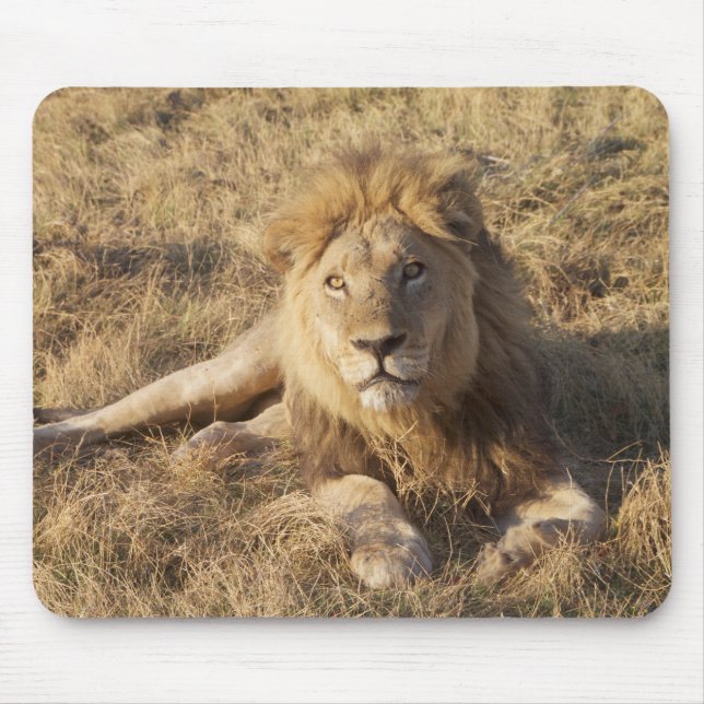Tapis De Souris Souris Lion (Devant)