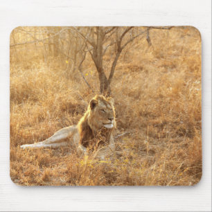 Tapis De Souris Souris Lion
