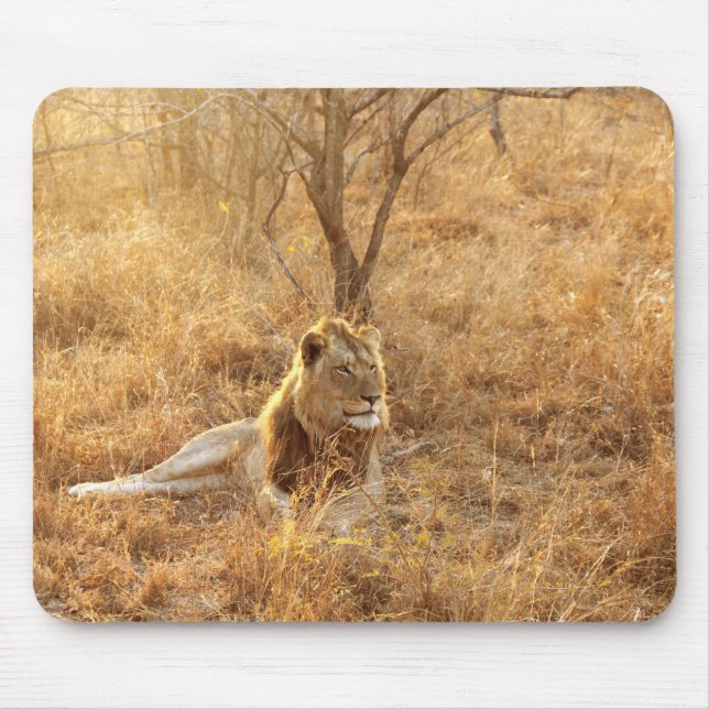 Tapis De Souris Souris Lion (Devant)