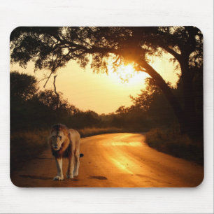 Tapis De Souris Souris Lion sur la route en Afrique