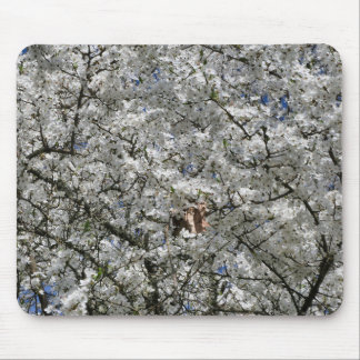 Tapis De Souris Souris Mirabelle Blossom