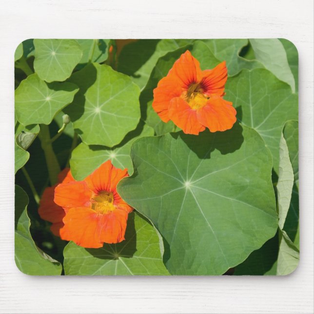 Tapis De Souris Souris Orange Nasturtium (Devant)