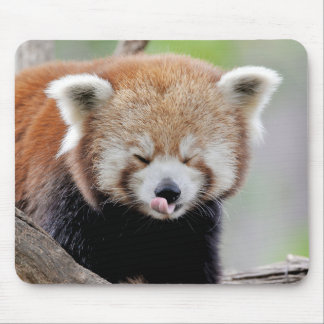 Tapis De Souris Souris Pad Photo panda rouge, animaux 0393.
