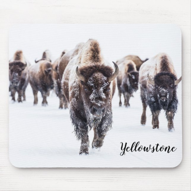 Tapis De Souris Souris Pad-Yellowstone Buffalo (Devant)