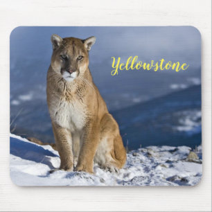 Tapis De Souris Souris Pad-Yellowstone Mountain Lion