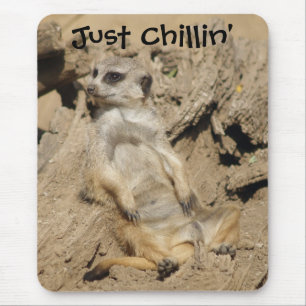 Tapis De Souris Souris photo de Just Chillin' Meerkat