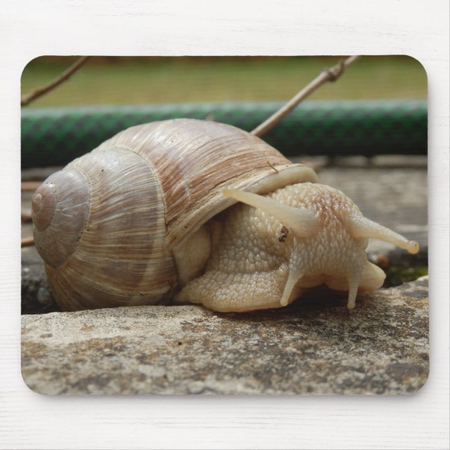 Tapis De Souris Souris romaine (Devant)