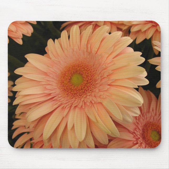 Tapis De Souris Souris rose Fleur (Devant)