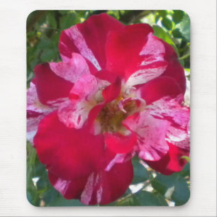 Tapis De Souris Souris Rose framboise