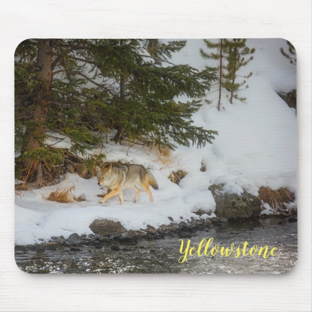Tapis De Souris Souris-Yellowstone Coyote (Devant)