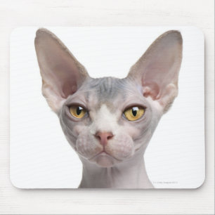 Tapis De Souris Sphynx (7 mois)