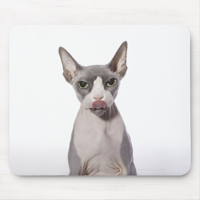 Tapis De Souris Sphynx Chat avec langue sortie (Devant)