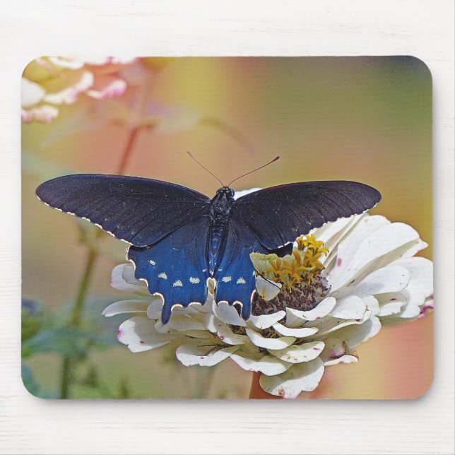 Tapis De Souris Spicebush Swallower (Devant)